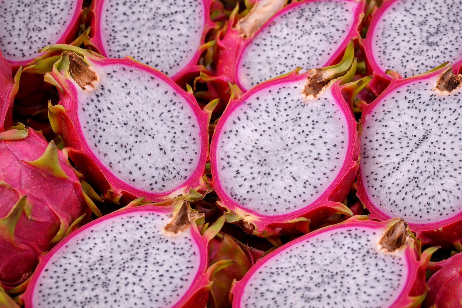 Dragon Fruit banner