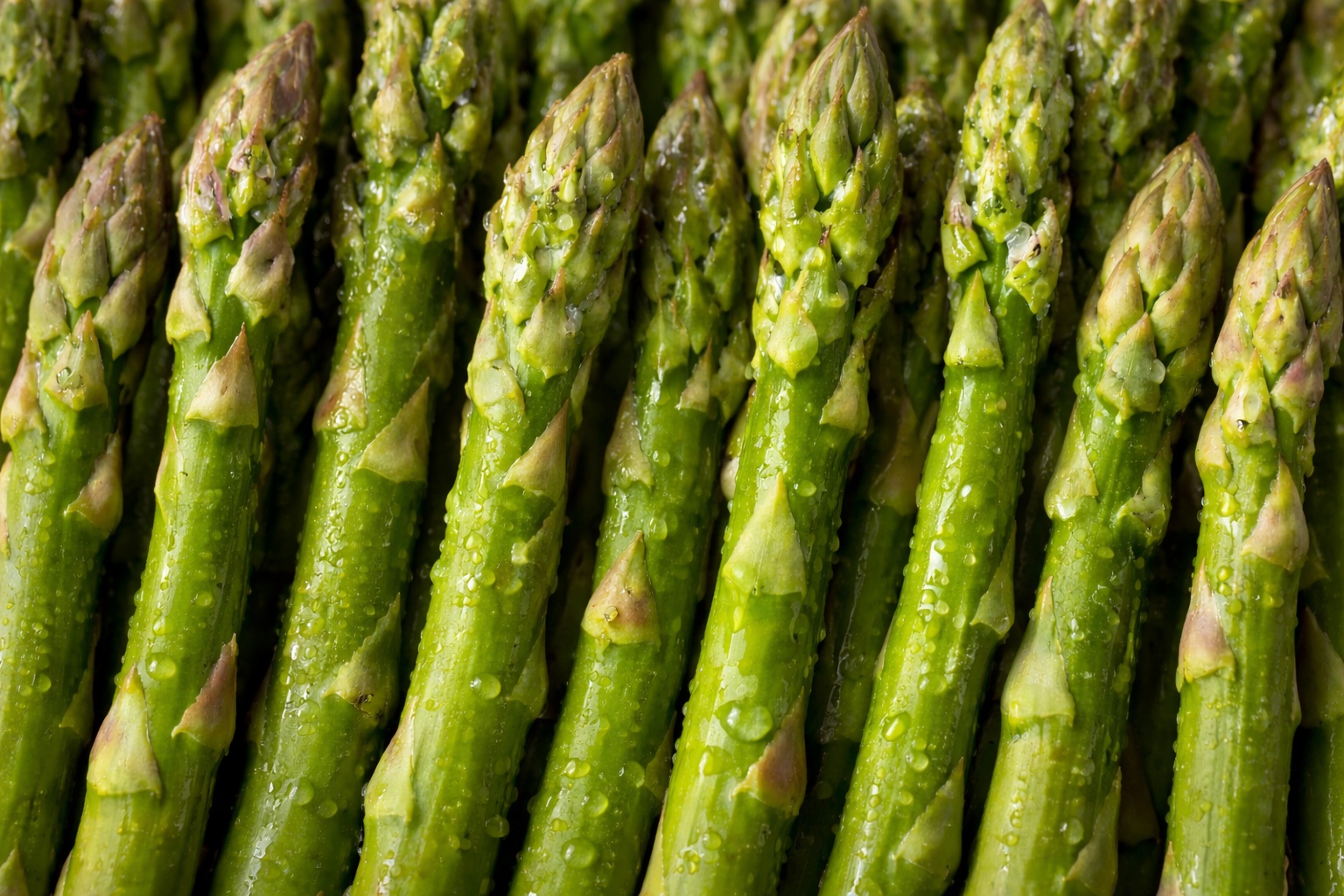 Asparagus banner