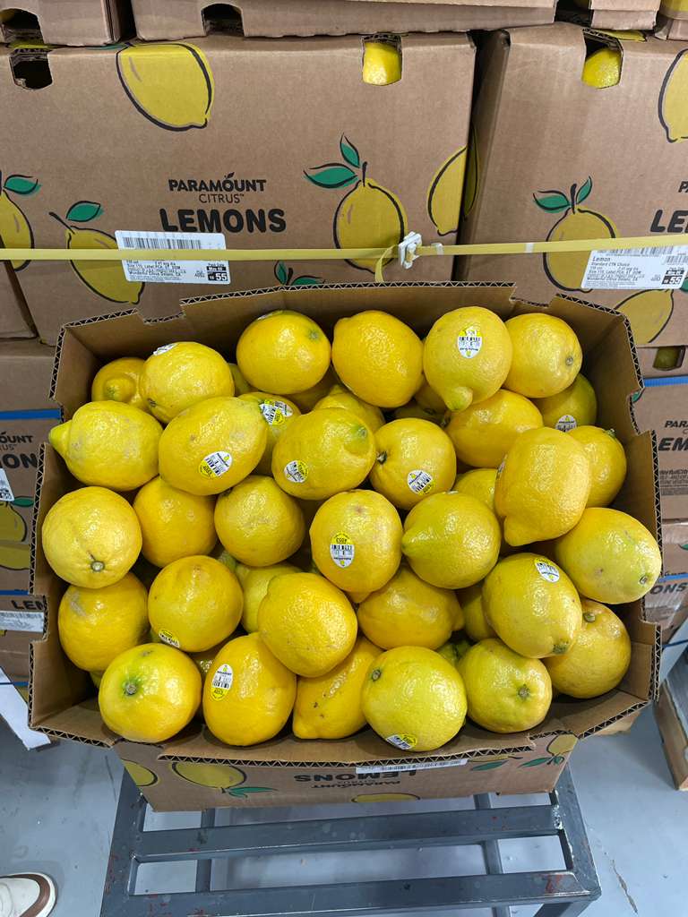 Lemons - Delano, CA - Multiple Sizes and Grades