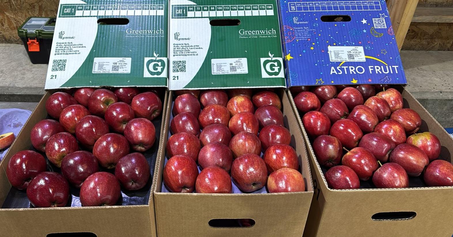 Manzanas Premium de Chile